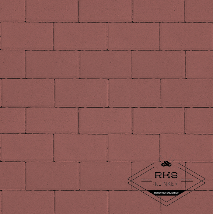Плитка тротуарная Прямоугольник 1.П.6, Красный, 100х200х60 мм в Брянске